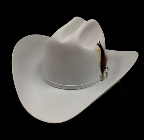 David's 100X Platinum fur felt cowboy hat