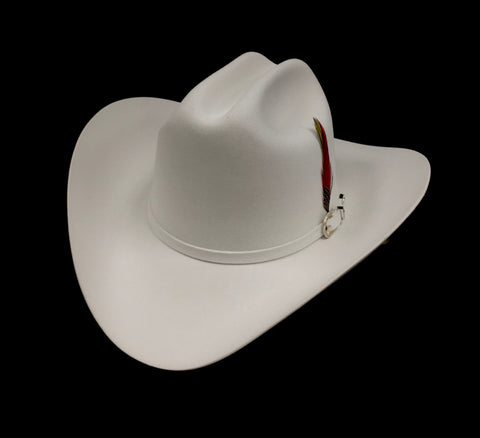 David's 30X Platinum fur felt cowboy hat