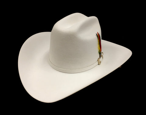 Stetson 6X White Palacio fur felt cowboy hat