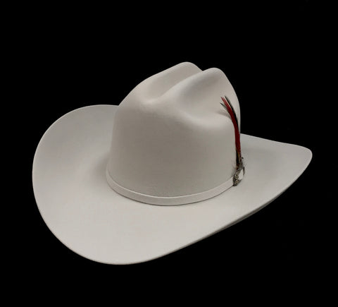 David's 5X Platinum fur felt cowboy hat