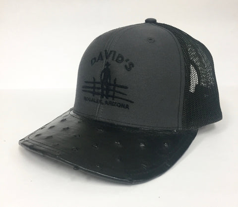 Charcoal/Black with black full quill ostrich visor