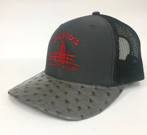 Charcoal/Black cap with serpentine cc full quill ostrich visor