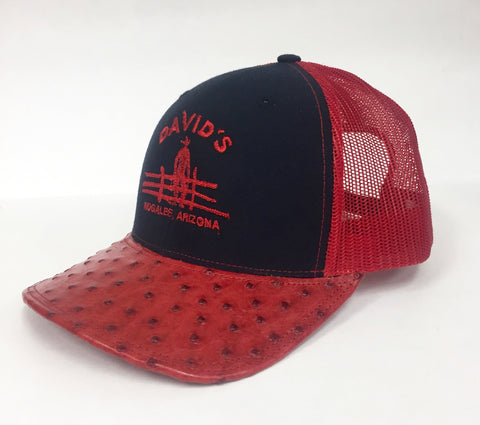Navy/Red cap with full quill red cc ostrich visor